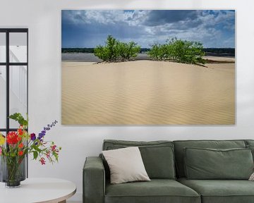 Des arbres dans les dunes sur Mark Bolijn