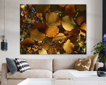 Kleurrijke herfstbladeren in de Elzas, Frankrijk van RKoolspics