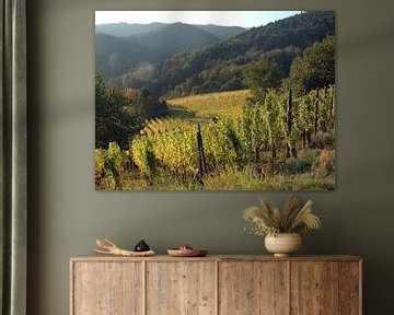 Landschap: Wijngaard in de Elzas, Frankrijk van Rini Kools