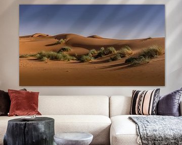 Sahara by Koos SOHNS   (KoSoZu-Photography)