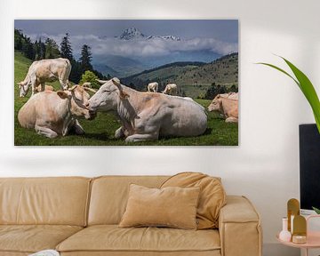 Koeien in de Pyreneeën van Koos SOHNS   (KoSoZu-Photography)