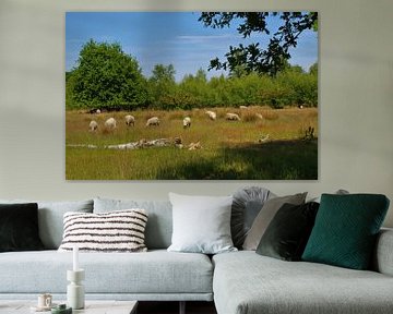 Grazende schapen van Pieter Voogt