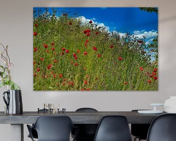 Champ de fleurs sauvages avec des coquelicots et la langue de bœuf commune sur Jolanda de Jong-Jansen