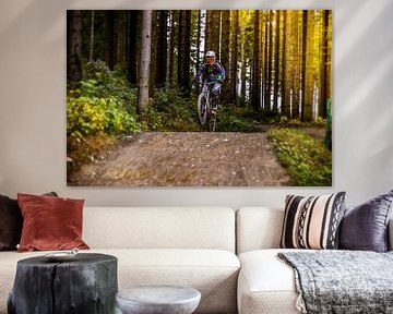 Mountain biking in the forest by Kevin Baarda