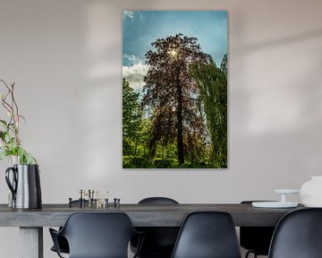 Kerk / Gebouw / Landschap in het Erzgebergte van Johnny Flash