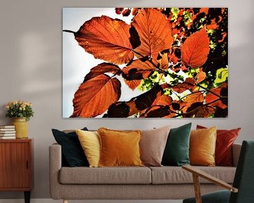 Bladeren in herfstkleuren tegen het zonlicht van Maud De Vries