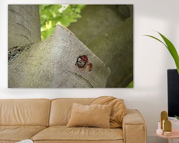 Oiseau dans l'arbre