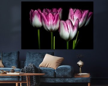 Tulpen von Sabrina Springefeld