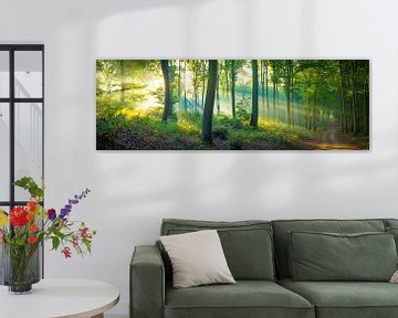 Forest Panorama