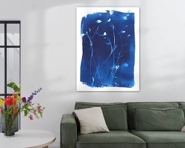 Boterbloemen cyanotype