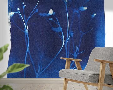 Buttercups cyanotype by Karin van der Vegt