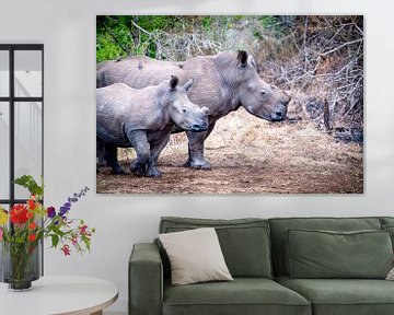 Mère et enfant rhinocéros sur Ineke Huizing