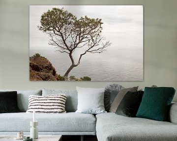 Tree by the sea van Marienke Vos