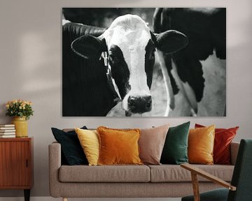 Zwart witte koe in het zonlicht van Jolanda de Jong-Jansen