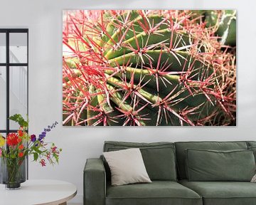 Cactus with red spines in Sicily by Anna van Leeuwen