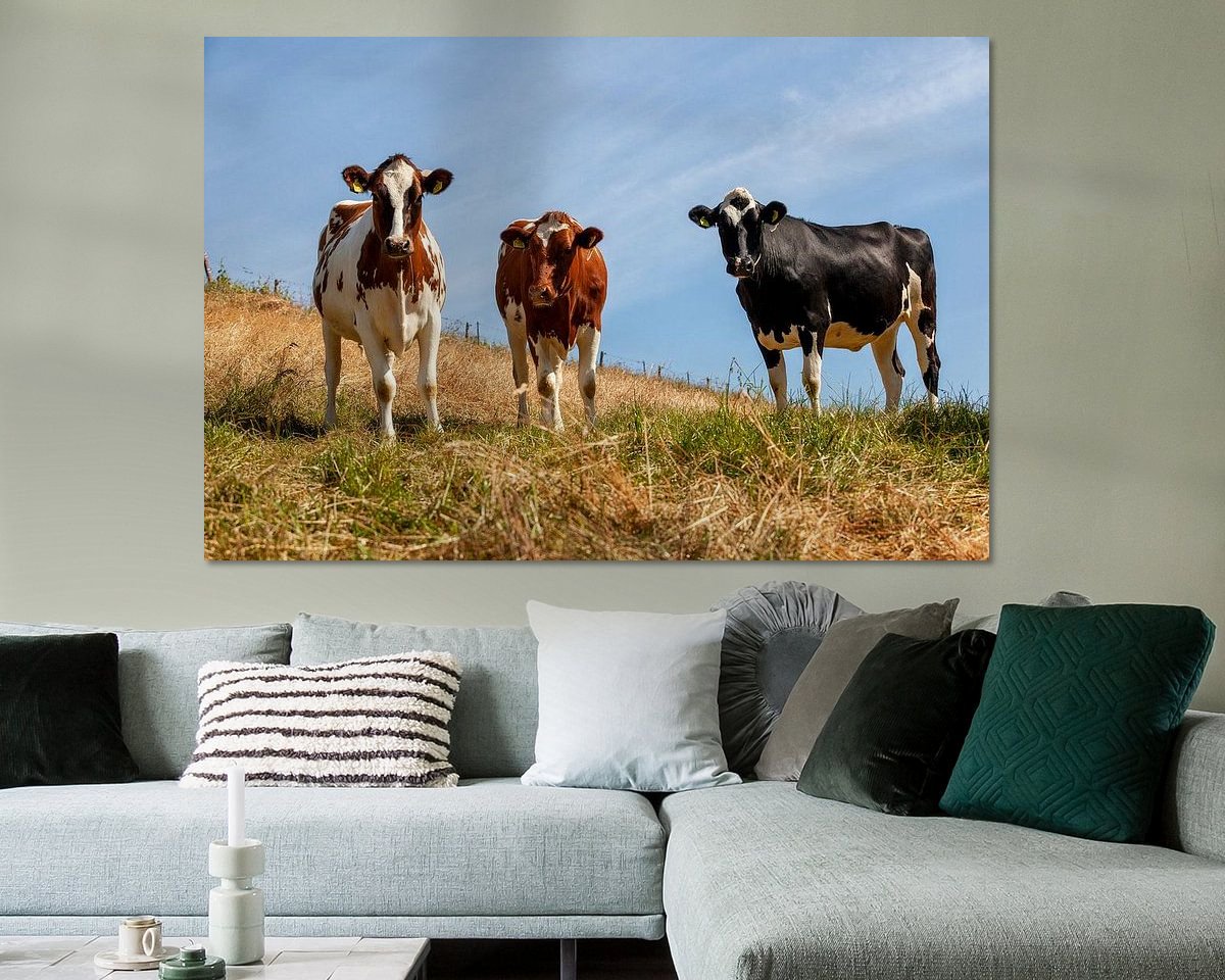 Raumvorschau