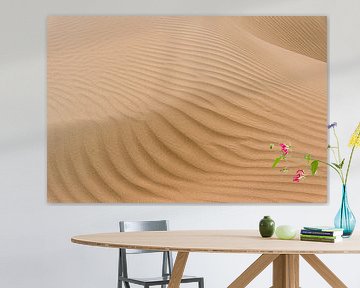 Lijnen en schaduw van een zandduin in de Karakum woestijn | Turkmenistan van Photolovers reisfotografie