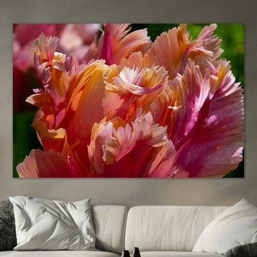 Pastellfarbene Tulpen