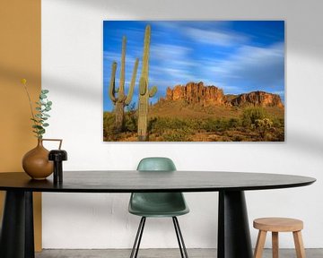 Saguaro-Kaktus in den Superstition Mountains im Lost Dutchman State Park, Arizona von Henk Meijer Photography