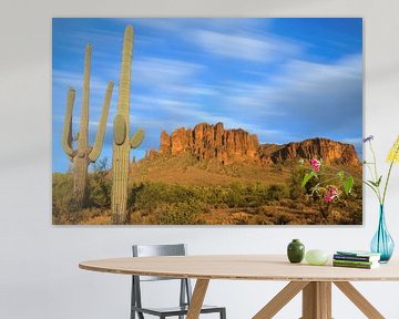 Saguaro Cactus in the Superstition Mountains in Lost Dutchman State Park, Arizona