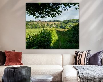 Blick durch den Weiler Wasserfall in Süd-Limburg