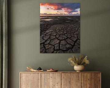 Trockenheit im Wattenmeer (Schlammrisse) von Tomas van der Weijden