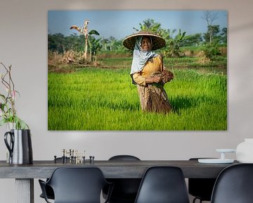 Une femme dans les rizières de Bali sur Ellis Peeters