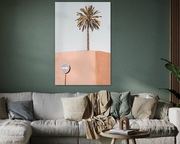 Palm tree of Riad Laarouss by Leonie Zaytoune