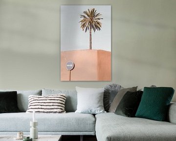 Palmboom in Marrakech van Leonie Zaytoune