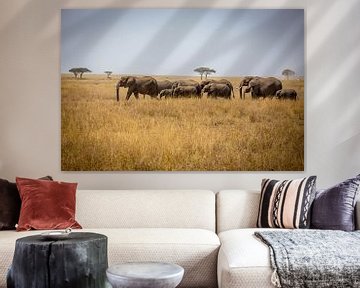 Kudde olifanten op de Serengeti van Julian Buijzen