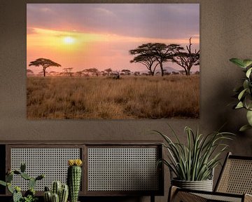 Zonsondergang in de Serengeti van Julian Buijzen