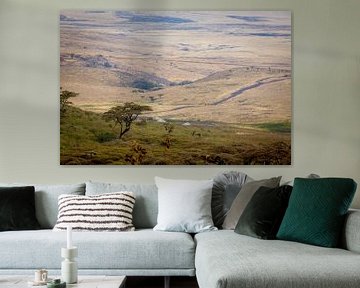 De Serengeti van Julian Buijzen