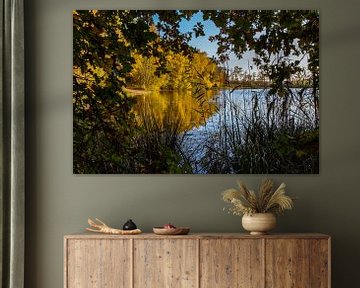 Vennetje dans le parc national de Meinweg sur Julian Buijzen