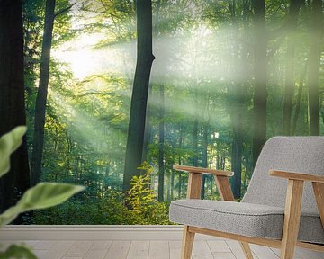 Light in the forest by Martin Wasilewski