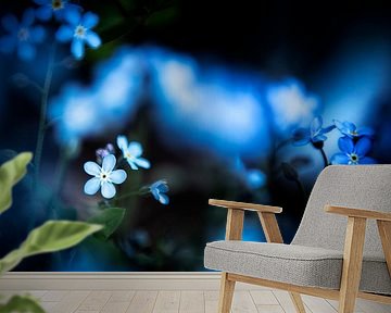 don't forget me by suzanna kolenbrander