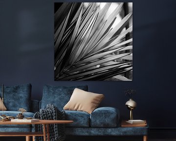 Palmblad zwart-wit von Insolitus Fotografie