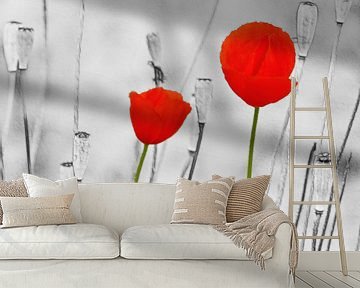 Poppy-Art (Red Poppies Art) by Caroline Lichthart