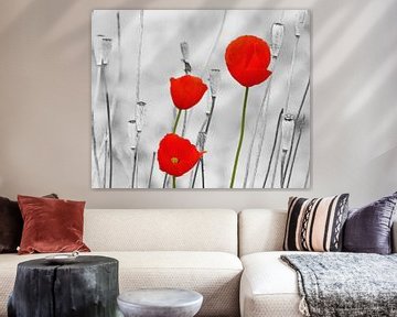 Poppy-Art (Rode Klaprozen Art) van Caroline Lichthart