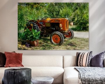 Tractor in Italiaanse wijngaard van Frans