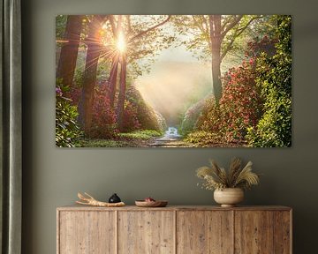 Summer sunshine in forest with rhododendrons by Jenco van Zalk