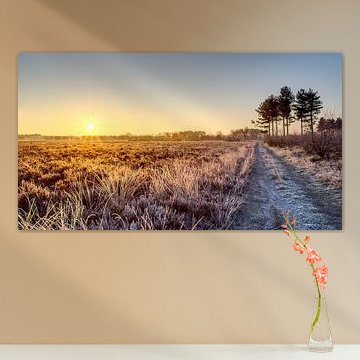 Leenderheide sur Ronald Beelen