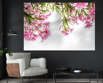 Roze tropische bloemen op witte achtergrond van Iris Koopmans