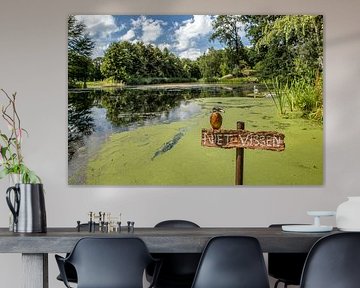 Ondeugende ijsvogel op bordje 'niet vissen'.