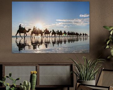 Kamelen op het strand van Broome, Australië