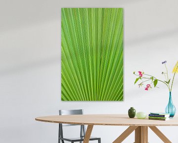 Groen palmblad close-up van Iris Koopmans