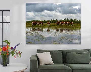 Kühe in der niederländischen Landschaft Fochteloërveen von Mark de Weger