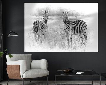 Zebras schauen in die Kamera. von Gunter Nuyts