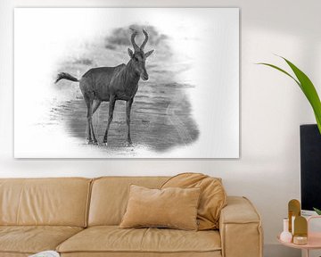 Hartenbeest in zwart wit. van Gunter Nuyts