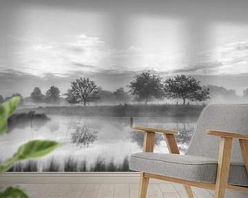 Trees in morning mist, black and white by Lex Schulte