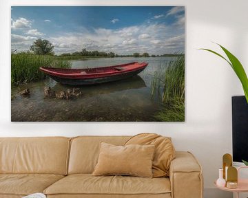 Bateau à rames avec des canards sur Moetwil en van Dijk - Fotografie